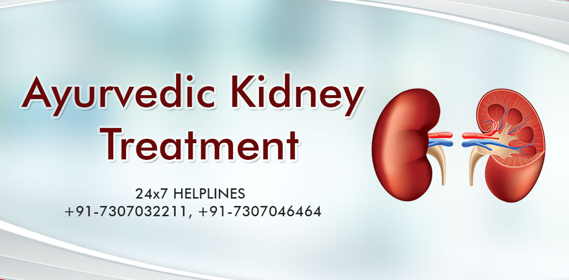 NDAyurveda,Ayurvedic Kidney Treatment in India,Ayurvedic Treatment for